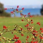 [좋은글] [좋은글] 10년 젊어지는 47가지 방법