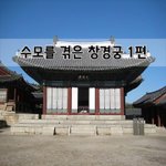 [좋은글] [좋은글]  수모를 겪은 창경궁 1편