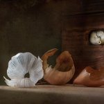 [좋은글] [좋은글] 몰랐던 마늘 껍질의 놀라운 건강 효능