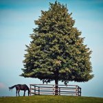 [좋은글] [좋은글] 자기 건강을 체크하는 방법