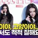 [영상] 미야오 <b>엘라</b>, '기특 아기 고양이'…포즈 척척~