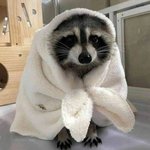 다<b>들</b><b>왜</b>아침부터