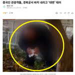 [드루와] 경복궁에 똥싸는 <b>중국인</b>