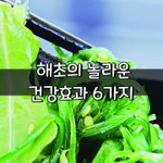 [좋은글] [좋은글] <b>해초</b>의 놀라운 건강효과 6가지