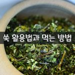 [좋은글] [좋은글] 쑥 활용법과 먹는 방법