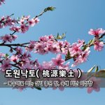 [좋은글] [좋은글] 도원낙토桃源樂土 – 복숭아꽃 피는 살기 좋은...