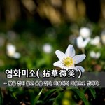 염화미소拈華微笑 - 꽃을 집어 들고 <b>웃음</b> 짓다, 마음에서 마음으로...