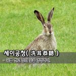 [좋은글] 세이공청洗耳恭聽 – 귀를 씻고 <b>남</b>의 <b>말</b>을 경청하다. 