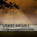 [좋은글] [좋은글] 잠룡물용潛龍勿用 - 물에 잠긴 용은 쓰지 않는다...