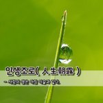 [좋은글] 인생조로人生朝露 - 사람의 생은 <b>아침</b> 이슬과 같다. 