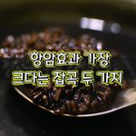 [좋은글] [좋은글] 항암효과 가장 크다는 잡곡 두 가지