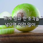 [좋은글] [좋은글] 귀에 양파 한 <b>조각</b>을 넣으면 이런 일이 일어납니다