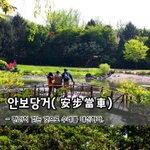 [좋은글] 안보당거安步當車 – 편안히 걷는 것으로 수레를 <b>대신</b>하다.