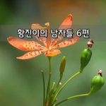 [좋은글] [좋은글]  황진이의 <b>남자들</b> 6편