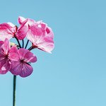 [좋은글] [좋은글] 삶에는 <b>정답</b>이 없습니다