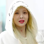 '다이어트 실신' 논란 극복했다…우려보다는 <b>격려</b>를 [엑's 이슈]