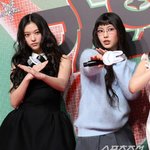 해린-혜인, 어도어 복귀 "<b>법원</b>판결 존중, 활동 최대한 지원"(전문)