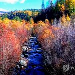 함경남도 부전군 옥련산의 가을 풍경 <북한 조선중앙TV>