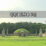 [좋은글] [좋은글]  왕릉王陵 3편