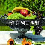 [좋은글] [좋은글] 과일 잘 먹는 방법