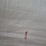 이거 <b>빈대</b> 핏자국인가요?