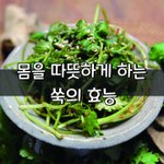 [좋은글] [좋은글] 몸을 따뜻하게 하는 쑥의 효능