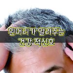 [좋은글] [좋은글] 흰머리가 알려주는 건강 적신호