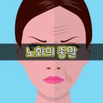 [좋은글] [좋은글] 노화의 종말