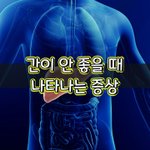 [좋은글] [좋은글] 간이 안 좋을 때 나타나는 증상