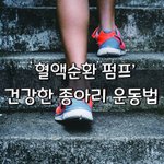[좋은글] [좋은글] ‘혈액순환 펌프’ 건강한 종아리 만드는 운동법