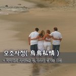 [좋은글] [좋은글] 오조<b>사정</b>烏鳥私情  - 까마귀의 사사로운 정...