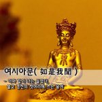 [좋은글] [좋은글] <b>여시</b>아문如是我聞 - 이와 같이 나는 들었다...