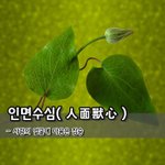 [좋은글] 인면수심人面獸心 - 사람의 <b>얼굴</b>에 마음은 짐승사람 인人-0...