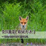 [좋은글] [좋은글] <b>호의</b>불결狐疑不決 – 여우는 의심이 많아 결단이...