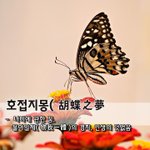 호접지몽胡蝶之夢 - 나비에 관한 꿈, 物我一體물아일체의 <b>경지</b>, 인생의...