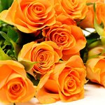 [좋은글] [좋은글] 입<b>냄새</b> 제거방법