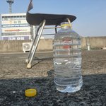 헤헤헤 <b>벌이</b> 와서 물 주변에 맴돌길래