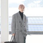 트레저 <b>요시</b>, 화보 아우라 [포토엔HD]