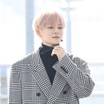 트레저 <b>요시</b>, 샤프한 비주얼 [포토엔HD]