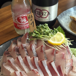 유행이라는 아<b>부리</b>방어 분자!!