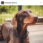 방탄 정국 뉴진스 <b>옹호</b>했는데 이제 뉴진스 복귀함