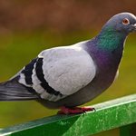 [테오시스] 결혼과 나