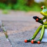 [좋은글] [좋은글] <b>소변</b>을 참으면 빨리 늙는다?