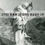 [좋은글] [좋은글]  고려장高麗葬은 고려의 풍습일까 3편