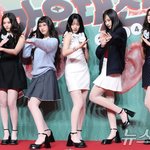 목격담도 등장…뉴진스 복귀 선언에 남극行 멤버 궁금증↑ [<b>N</b>이슈]