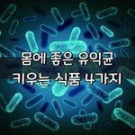 [좋은글] [좋은글] 몸에 좋은 유익균 키우는 식품 4