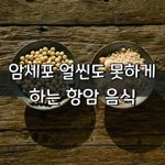 [좋은글] [좋은글] 암세포 얼씬도 못하게 하는 항암 음식