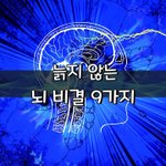 [좋은글] [좋은글] 늙지 않는 뇌 비결 9가지