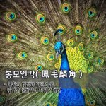봉모인각鳳毛麟角 - 봉황의 깃털과 기린의 뿔, 뛰어난 인물이나 희귀한 <b>물건</b>