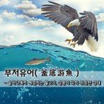 [좋은글] 부저유어釜底游魚 - 솥<b>바닥</b>에서 헤엄치는 물고기, 상황이...